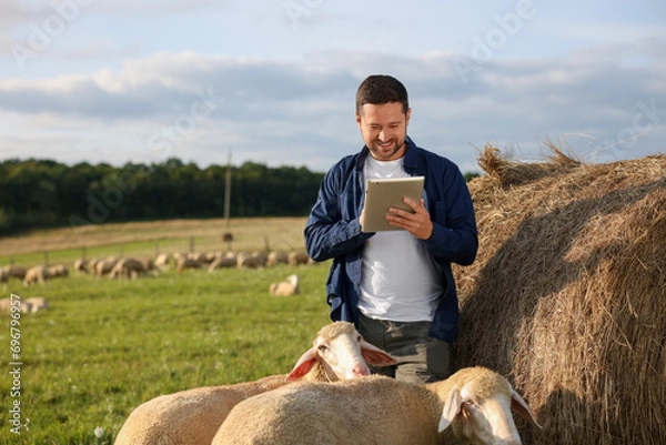 Obraz Smiling farmer using tablet near hay bale and sheep on pasture. Space for text