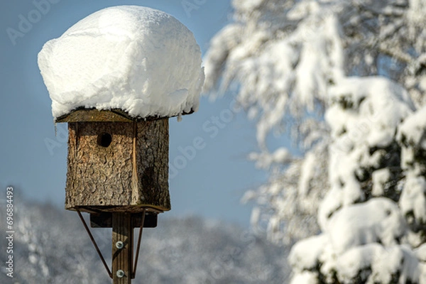 Obraz verschneites Vogelhäuschen