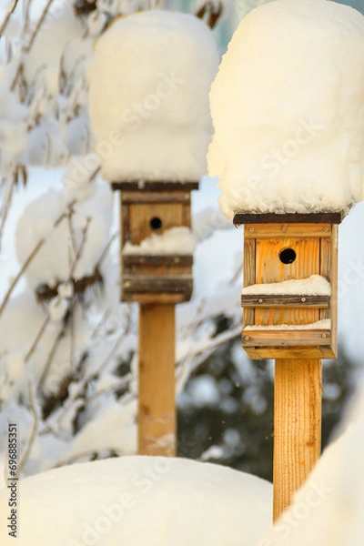 Obraz verschneite Vogelhäuschen