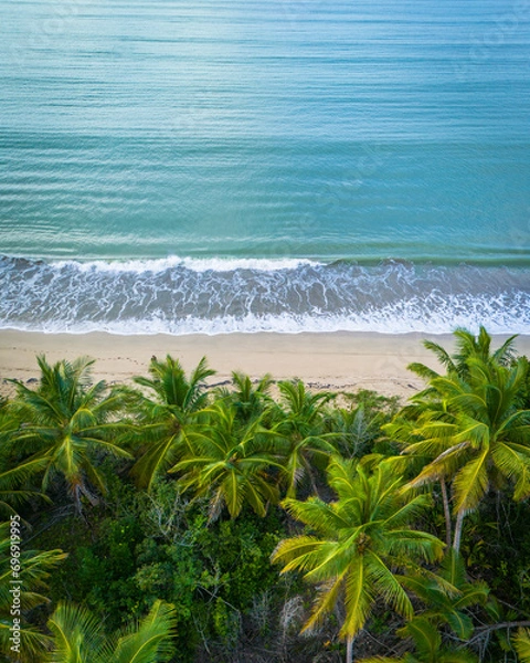Obraz beach with palm trees
