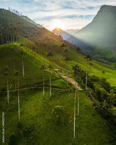 Obraz Valle de Cocora, Salento in Colombia