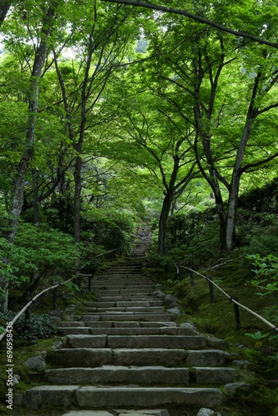 Fototapeta 常寂光寺の新緑の美しい境内の風景