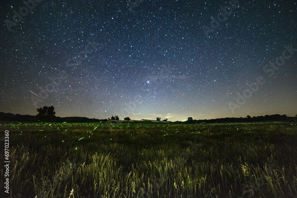 Obraz A field filled with fireflies under a starry night sky
