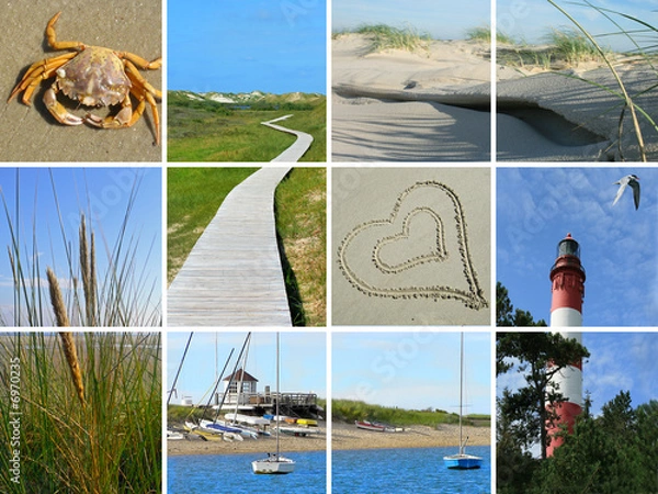 Obraz Amrumer Impressionen