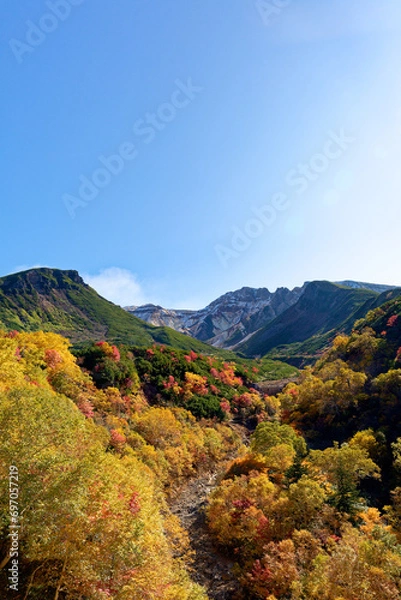 Obraz 十勝岳温泉の紅葉
