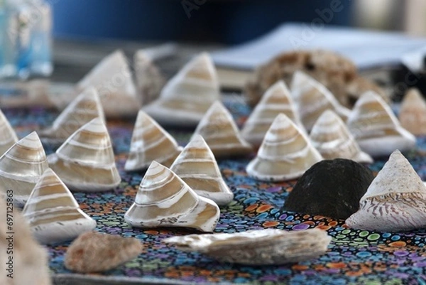 Fototapeta Conical shells in colours of brown and white are on a colourful cloth. They are highly polished. The focus is on the foreground. There are also a few stones and unpolished shells.