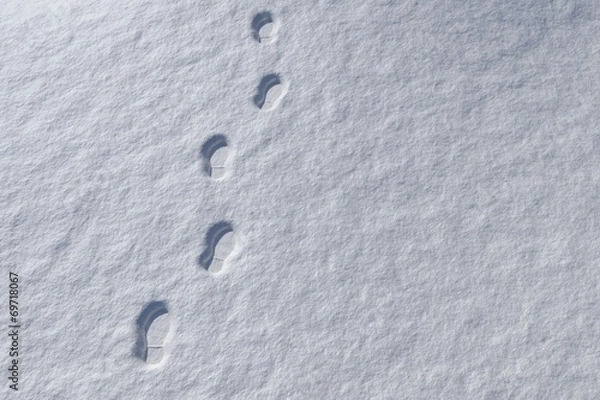 Obraz Footprints in snowy landscape