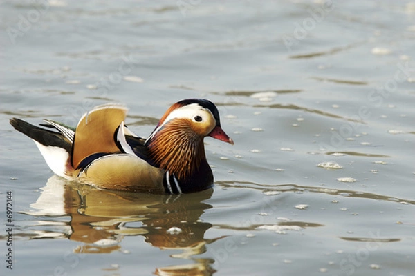 Fototapeta un paseo por el rio