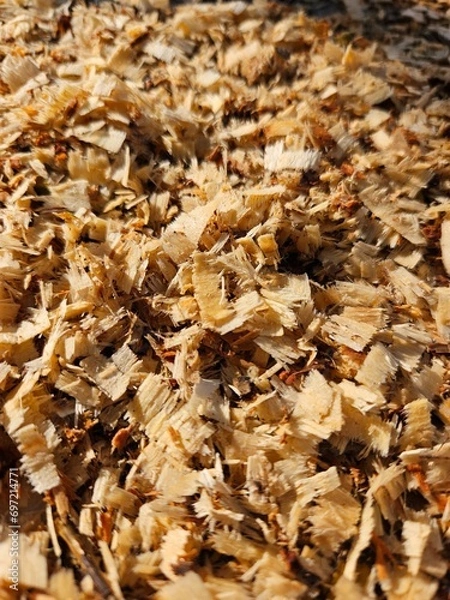 Fototapeta autumn leaves background