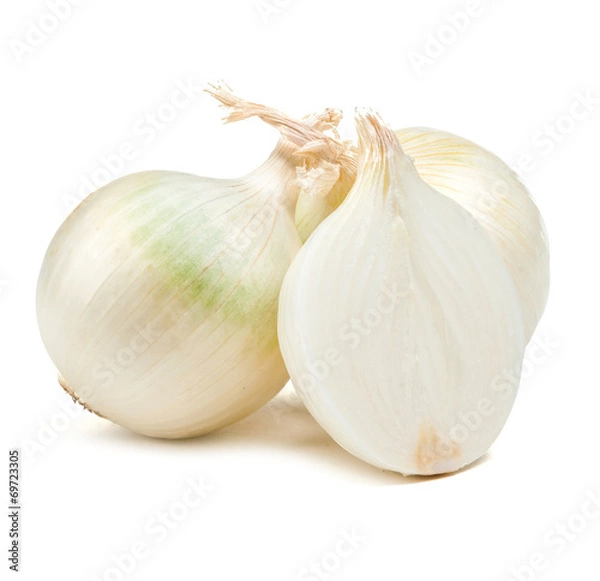 Obraz white onion salad isolated
