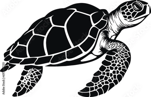 Fototapeta Vector turtle silhouette of a isolated on a white background, Vector illustration