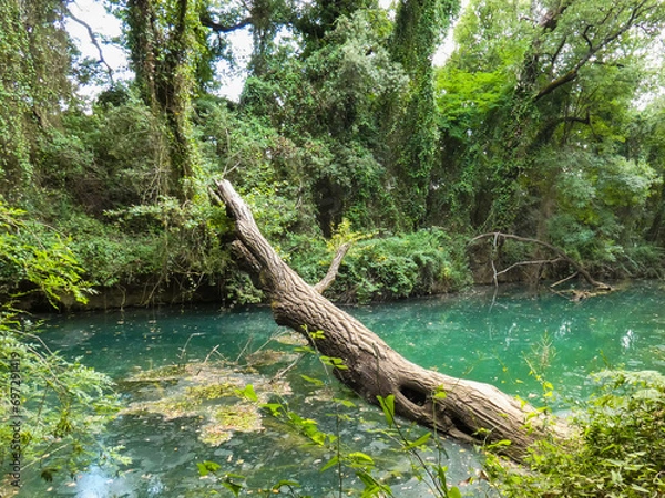Fototapeta Exceptional landscape where the Bresque river flows slowly in the natural and verdant setting of Sillans-la-cascade in the Var department in Provence in France