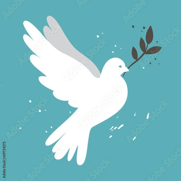 Fototapeta biały gołąb