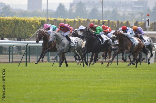 Obraz cheval de course