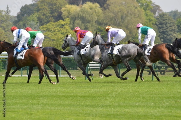 Obraz cheval de course