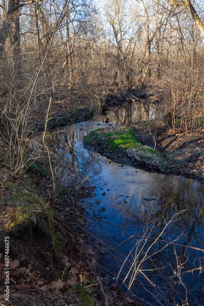 Obraz Ambler,Pennsylvania,USA - December 4 2022: A creek at Wissahickon Trails in winter.