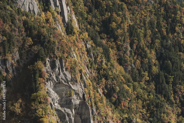 Fototapeta 秋の山岳風景