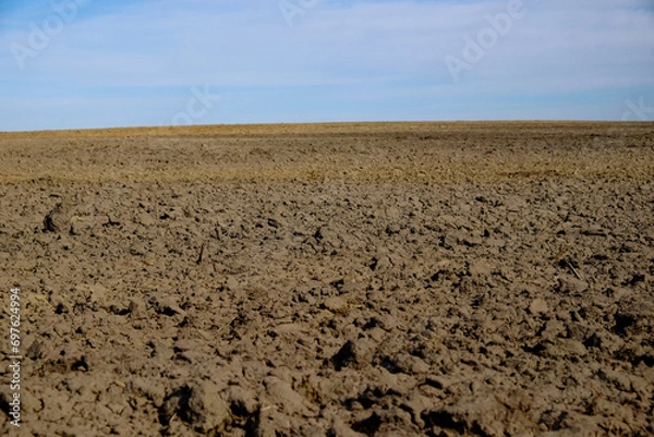 Fototapeta The field is brown and the sky is blue.