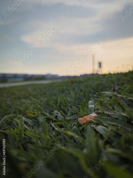 Fototapeta Killer Litter