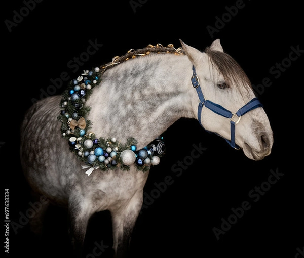 Obraz Handsome young stallion with Christmas wreath