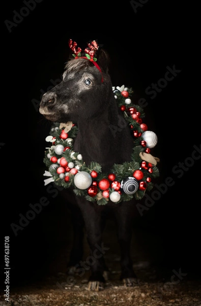 Obraz Beautiful pony with a Christmas wreath