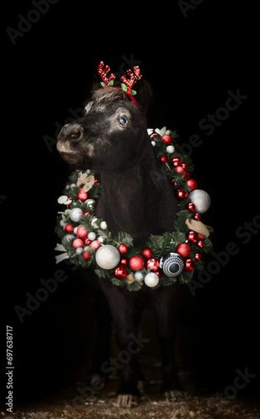Obraz Beautiful pony with a Christmas wreath