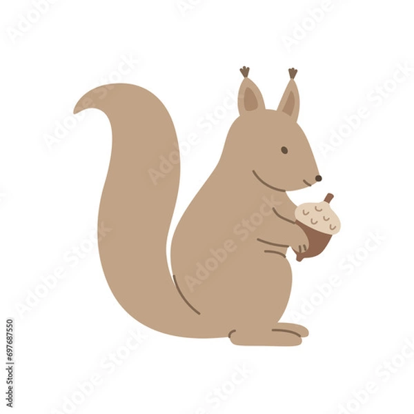 Fototapeta Cute squirrel with acorn isolated on a white background.