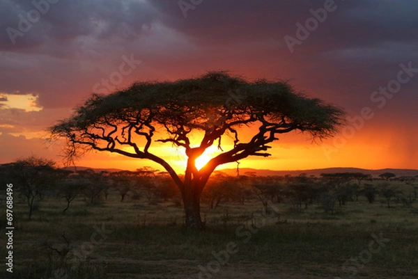 Obraz African sunset
