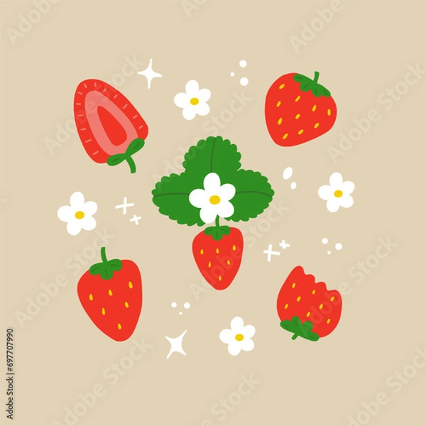 Fototapeta Strawberry vector set. Red berry illustration. Isolated design elements.