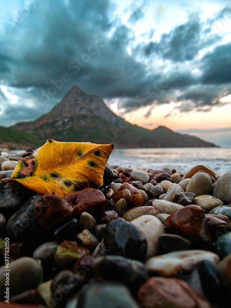 Obraz The autumn leaves