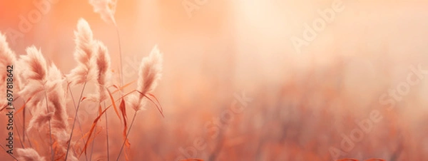 Fototapeta Concept of a wonder and joy, serene and peaceful scene in nature, peach fuzz color 2024, banner copy space 