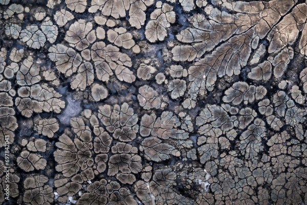 Obraz Pyrite in agate slice photography, macro detail texture. close-up polished semi-precious gemstone. 