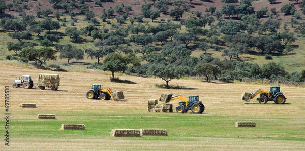 Obraz four tractors (panoramic view)