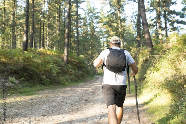 Fototapeta Hiker walking in the forest.