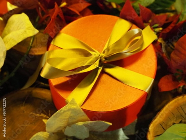 Obraz プレゼント