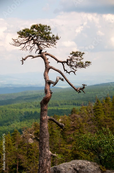 Obraz górskie widoku 