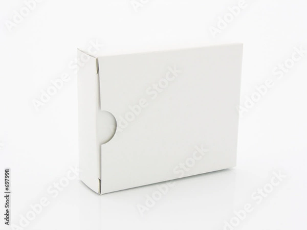 Obraz boîte vierge 4