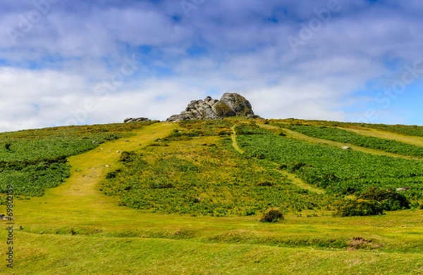 Fototapeta Haytor Tor, Dartmoor, Devon, England