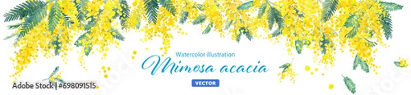 Obraz ミモザの水彩イラストの装飾フレーム。春のイメージ背景。ワイド（ベクター。レイアウト変更可能）