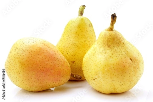 Fototapeta gruszka