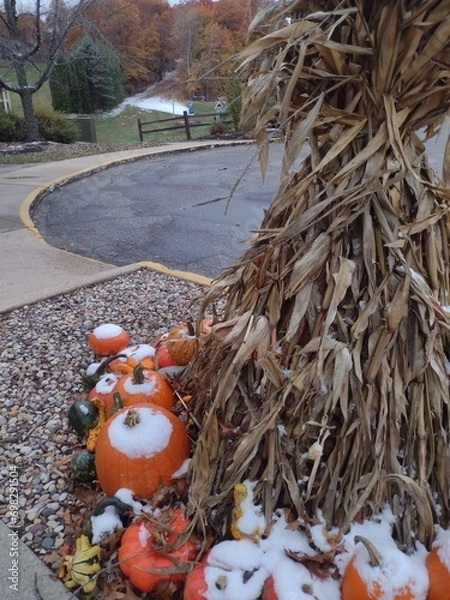 Fototapeta fall day with snow on the pumpkin
