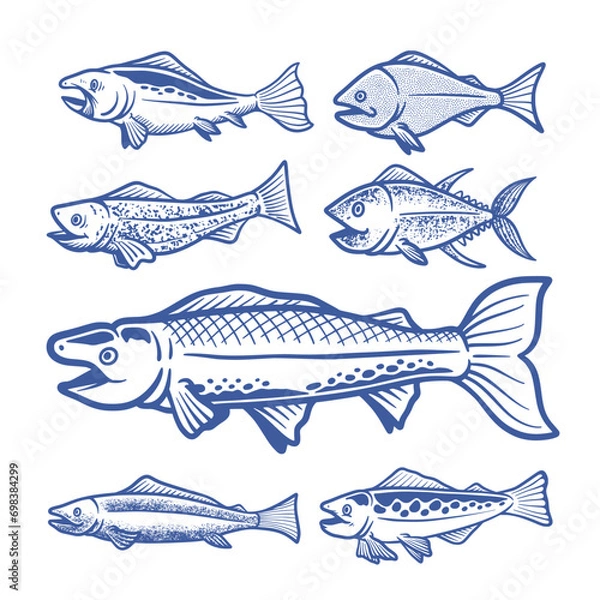 Obraz Hand Drawn Seafood Fish Vetor Illustrations Set