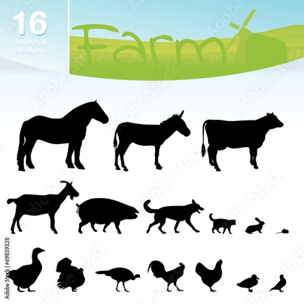 Obraz Farmtiere