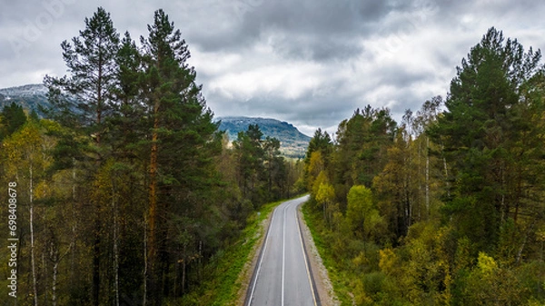 Obraz Road through forest