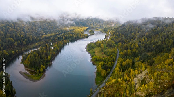 Obraz morning in the forest