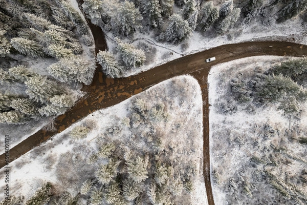 Obraz muddy road in forest