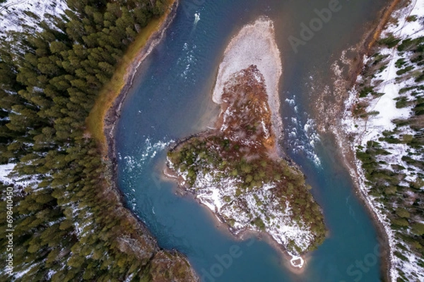 Obraz river in the forest