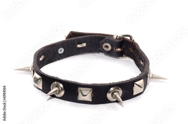 Fototapeta Kołnierz