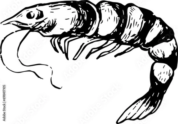 Obraz Hand Drawn Sea Animal