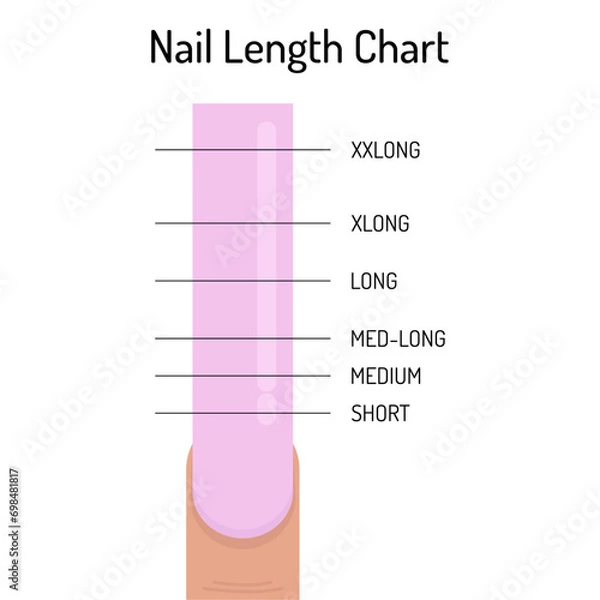 Fototapeta Nail length table. Nail file chart. Vector infographics